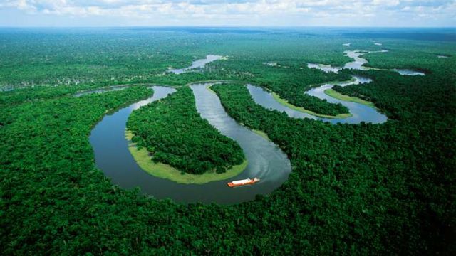 Selva del Amazonas