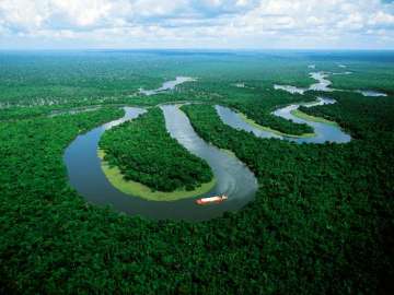 Selva del Amazonas
