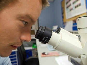 Un científico mira en un microscopio