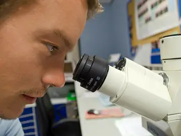 Un científico mira en un microscopio Un científico mira en un microscopio