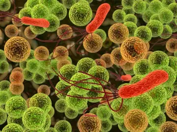 Microbios vistos a través de un microscopio Microbios vistos a través de un microscopio
