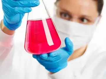 La Universidad de Navarra promueve un proyecto de investigación para visibilizar la aportación femenina en el ámbito científico La Universidad de Navarra promueve un proyecto de investigación para visibilizar la aportación femenina en el ámbito científico