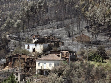 Vista de la zona quemada por el incendio originado en Pedrógão Grande