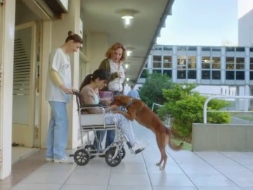 'El hombre y el perro, un emotivo corto que promueve la donación de órganos 