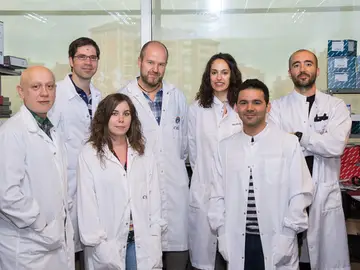 Descubren nuevas claves para optimizar la inmunoterapia del cáncer Descubren nuevas claves para optimizar la inmunoterapia del cáncer