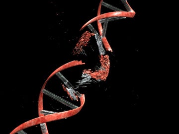 La causa de muchos canceres son errores en el corrector del ADN