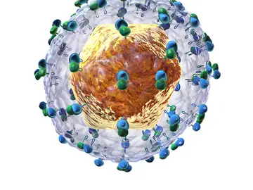 Los fármacos contra la hepatitis C son muy caros en países de ingresos medios y altos Los fármacos contra la hepatitis C son muy caros en países de ingresos medios y altos