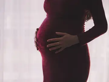 Organizaciones internacionales piden que no se editen los genes durante el embarazo Organizaciones internacionales piden que no se editen los genes durante el embarazo
