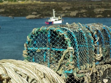 Marca de calidad para los productos y servicios del mar