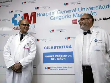 Inventan un primer protector del riñón contra los medicamentos Inventan un primer protector del riñón contra los medicamentos