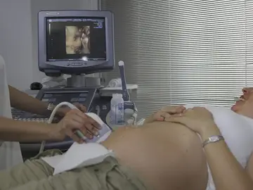 Crean una nueva técnica para visualizar embriones recién implantados Crean una nueva técnica para visualizar embriones recién implantados