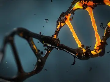 Descubren que una molécula podría actuar como agente neuroprotector Descubren que una molécula podría actuar como agente neuroprotector