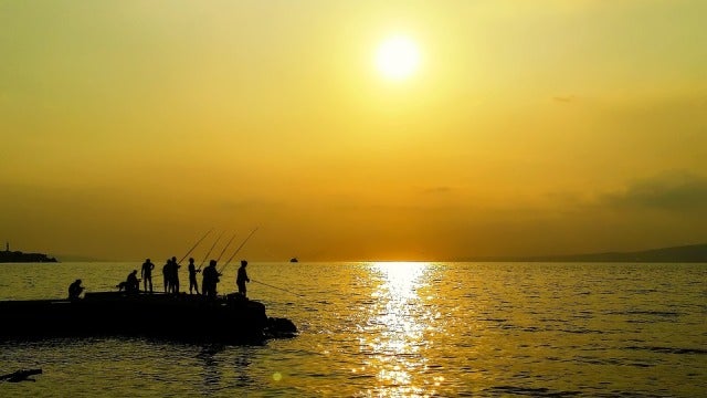 48 miembros para el Consejo Nacional de Caza y Pesca48 miembros para el Consejo Nacional de Caza y Pesca