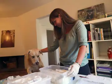 Entrenan a un perro que puede detectar el cáncer de pulmón Entrenan a un perro que puede detectar el cáncer de pulmón