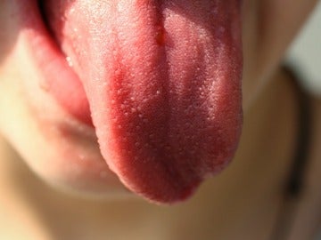 Descubren las moléculas responsables del sentido del gusto en la lengua