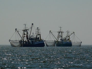 Barcos pesqueros