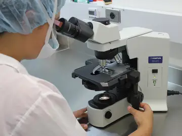 Científico investigando Científico investigando