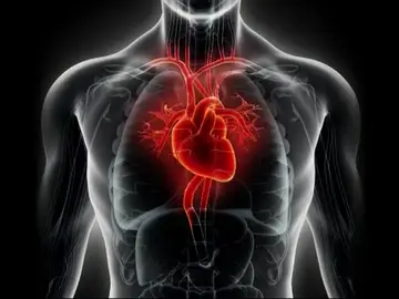 Imagen de un corazón Imagen de un corazón