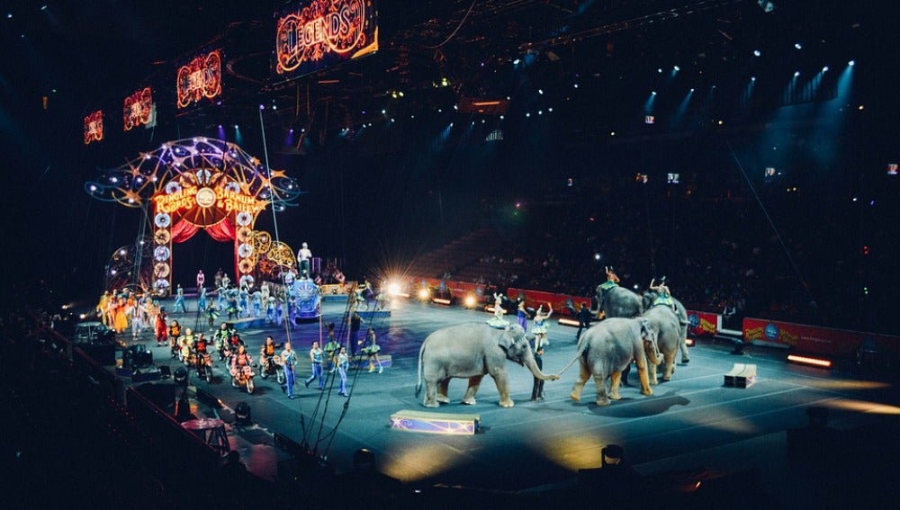 Circos Reunidos denuncia a asociaciones animalistas por una presión ilícita contra circos con animales