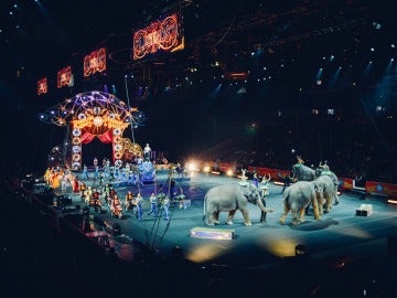 Circos Reunidos denuncia a asociaciones animalistas por una presión ilícita contra circos con animales