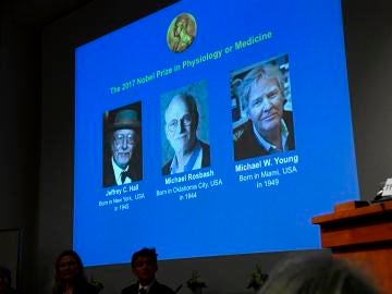 Los investigadores del 'reloj interno del cuerpo' reciben el Nobel de Medicina 2017 