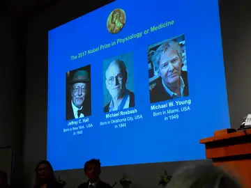 Los investigadores del 'reloj interno del cuerpo' reciben el Nobel de Medicina 2017 Los investigadores del 'reloj interno del cuerpo' reciben el Nobel de Medicina 2017