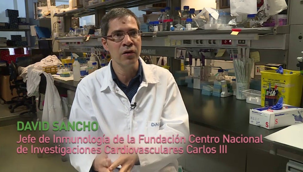 Arkaitz Carracedo y David Sancho, premio ‘Joven talento en investigación biomédica’