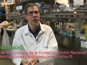 Arkaitz Carracedo y David Sancho, premio ‘Joven talento en investigación biomédica’ Arkaitz Carracedo y David Sancho, premio ‘Joven talento en investigación biomédica’