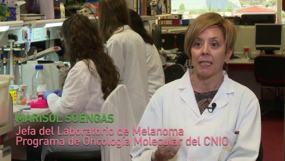 Marisol Soengas, premio ‘Mejor investigación biomédica del año'