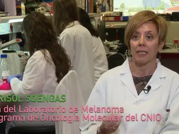 Marisol Soengas, premio ‘Mejor investigación biomédica del año' Marisol Soengas, premio ‘Mejor investigación biomédica del año'