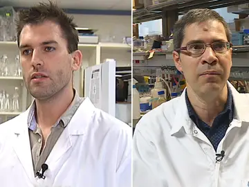 Arkaitz Carracedo y David Sancho comparten el premio joven talento en investigación biomédica Arkaitz Carracedo y David Sancho comparten el premio joven talento en investigación biomédica