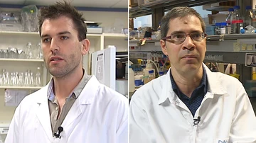 Arkaitz Carracedo y David Sancho comparten el premio joven talento en investigación biomédica