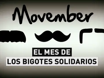 movember movember