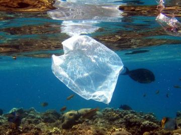 Residuos de plástico en el mar (Archivo)