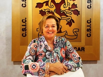 El Gobierno nombra a Rosa Menendez nueva presidenta del CSIC