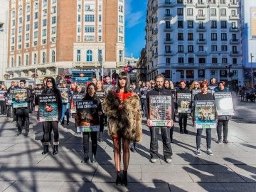 Activistas salen a la calle para protestar contra el uso de pieles de animales