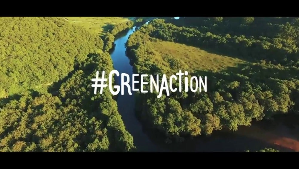 'Green Action', una iniciativa que pide la colaboración de las empresas para reforestar terrenos arrasados por las llamas 