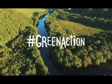 'Green Action', una iniciativa que pide la colaboración de las empresas para reforestar terrenos arrasados por las llamas 'Green Action', una iniciativa que pide la colaboración de las empresas para reforestar terrenos arrasados por las llamas