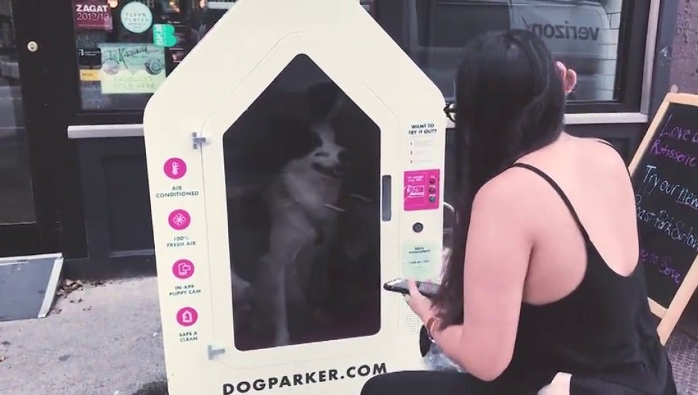 'Dog Parker', una caseta inteligente para dejar a tu perro cuando salgas a tomar un café