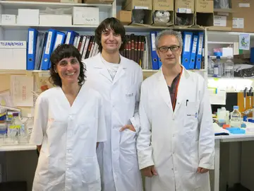 Identifican un receptor clave para combatir la metástasis en el cáncer de ovario Identifican un receptor clave para combatir la metástasis en el cáncer de ovario