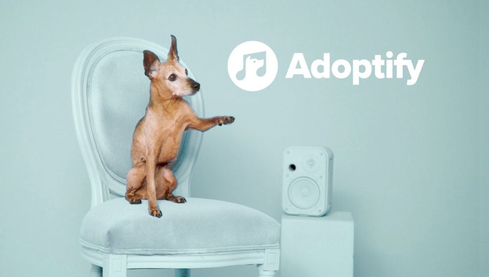 'Adoptify', una iniciativa que promueve las adopciones de perros a través de la música 