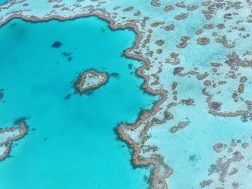 Australia destinará 48 millones de dólares para proteger la Gran Barrera de Arrecifes Australia destinará 48 millones de dólares para proteger la Gran Barrera de Arrecifes