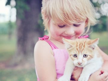 El amor por los animales El amor por los animales