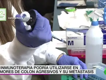 Científicos españoles curan ratones con cáncer de colon y los inmunizan Científicos españoles curan ratones con cáncer de colon y los inmunizan