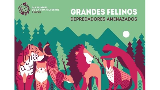 Los grandes felinos, protagonistas del Día Mundial de la Vida Silvestre 
