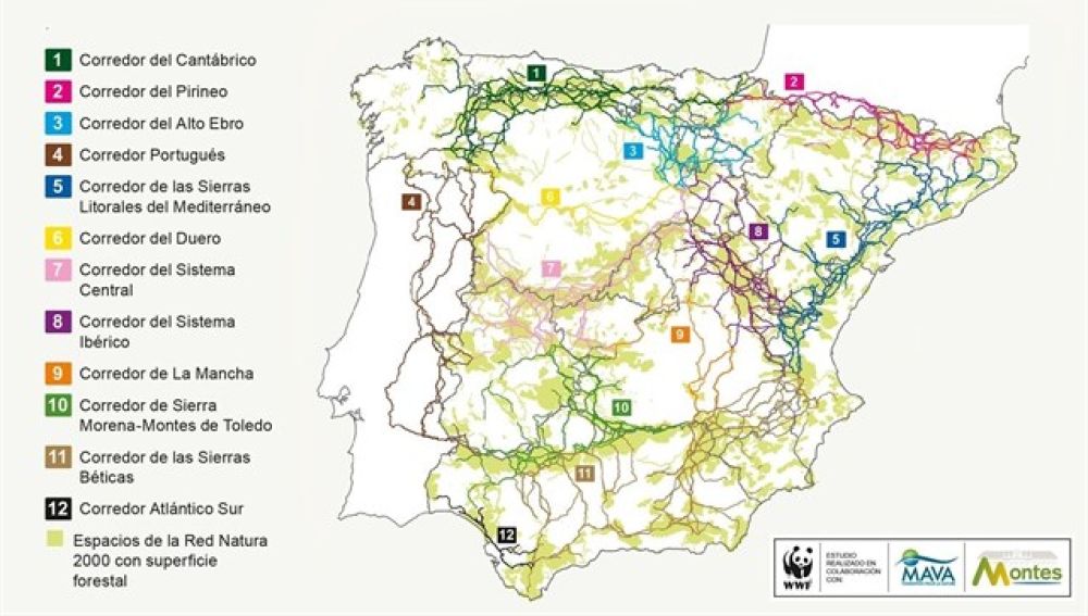 Mapa de los corredores ecológico elaborado por WWF