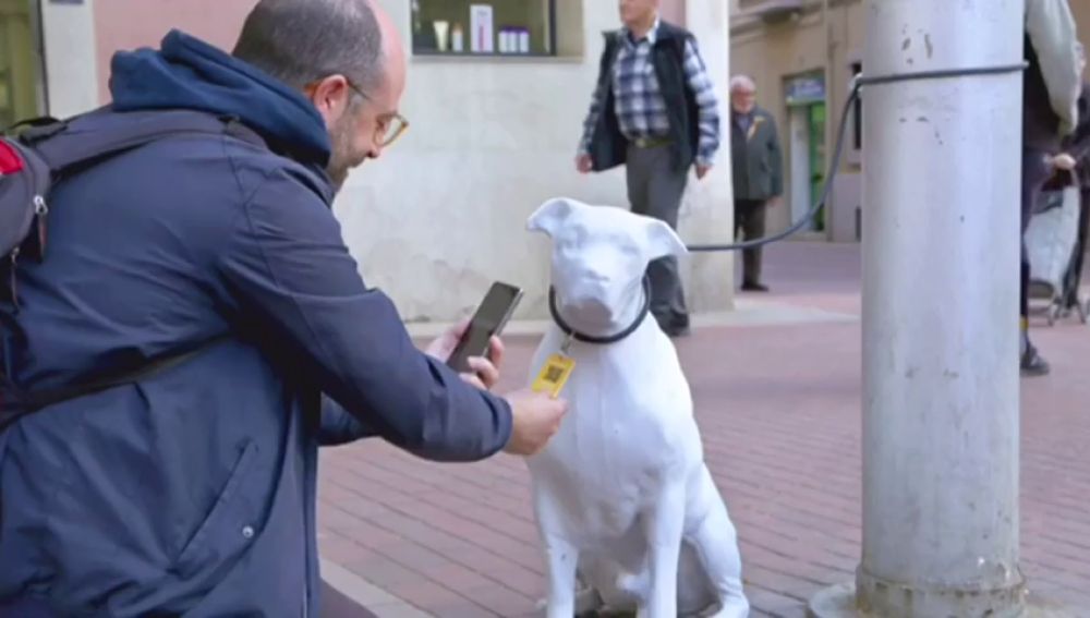 Barcelona promueve la adopción de animales de compañía abandonados con perros de hormigón 'abandonados' en la ciudad