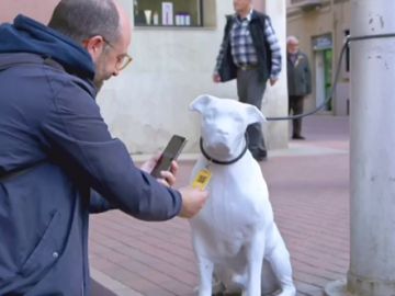 Barcelona promueve la adopción de animales de compañía abandonados con perros de hormigón 'abandonados' en la ciudad