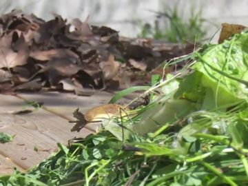 El compost, o cómo convertir los residuos orgánicos en abono nautural El compost, o cómo convertir los residuos orgánicos en abono nautural