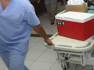 Personal sanitario transporta una nevera portadora de un órgano para un trasplante Personal sanitario transporta una nevera portadora de un órgano para un trasplante